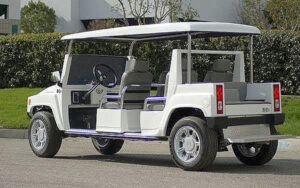 affordable golf cart rental, golf cart rent miami lakes, cart rental miami lakes
